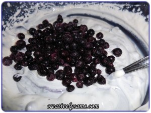 Blueberry Cheesecake Pudding